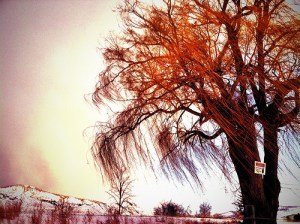 8368845522_128fbb825d