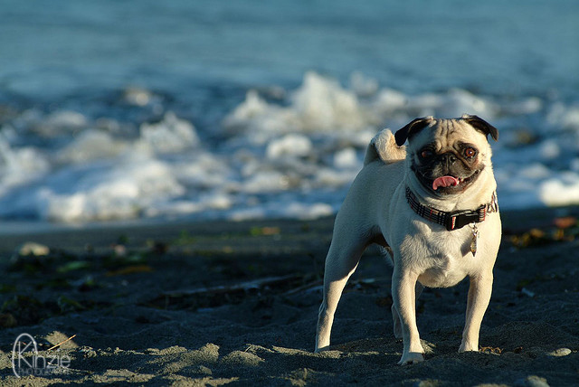 248028539_6b69fbaf94_z