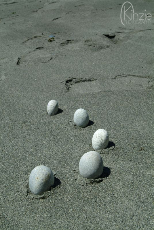 248675368_0eaca67d1f_o