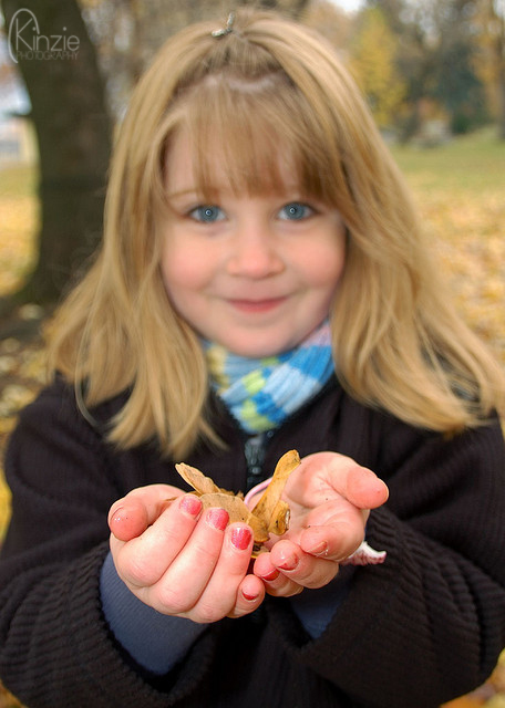 1785127447_5a55cfc31f_z