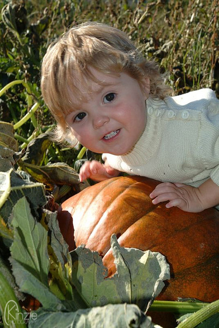 264682896_b9fa20e6d1_z