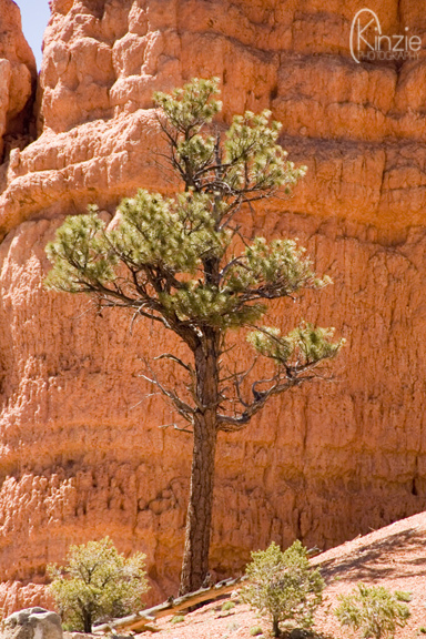 4676776691_ff050e4e3b_z