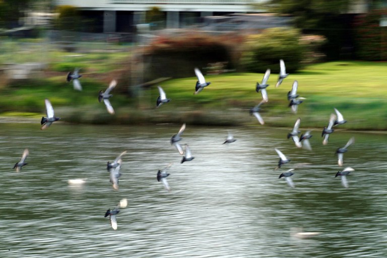 248027236_0dc6b5111a_b