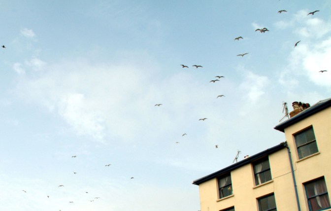 254320283_42b0609524_b