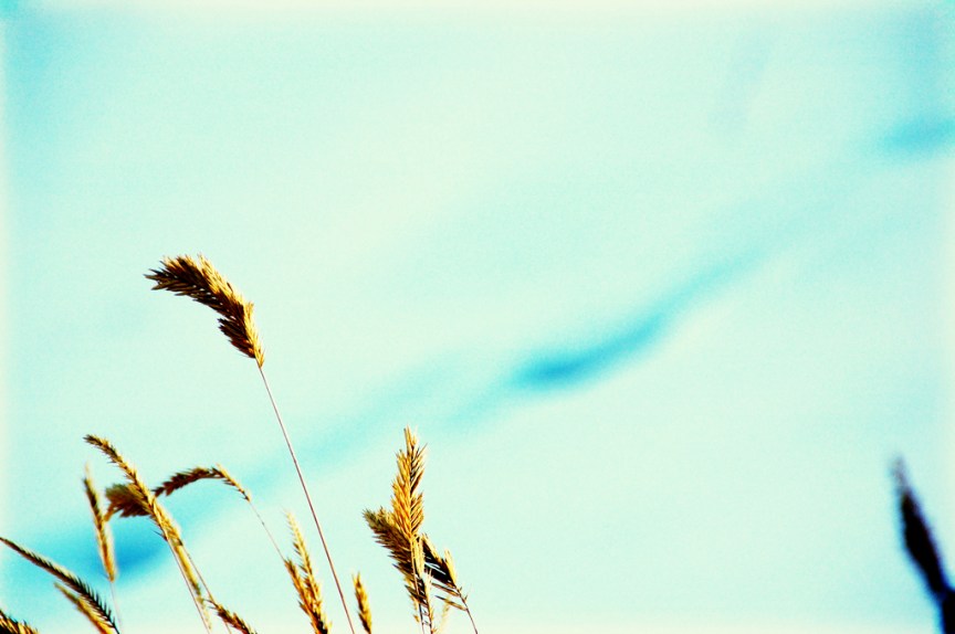 368765515_19d054623e_b