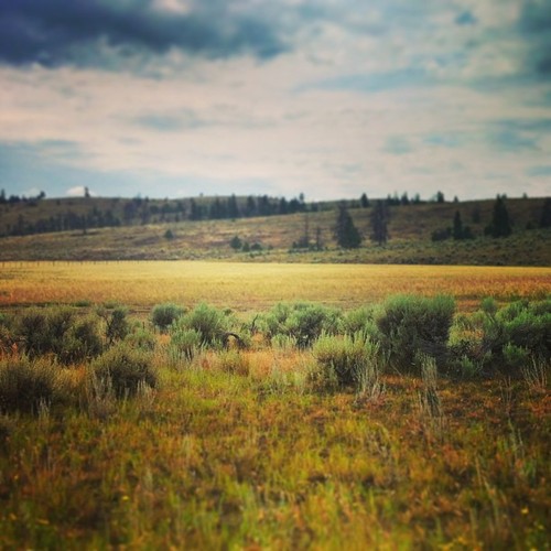 tumblr_mqxa6cZfBi1qicjr7o1_500