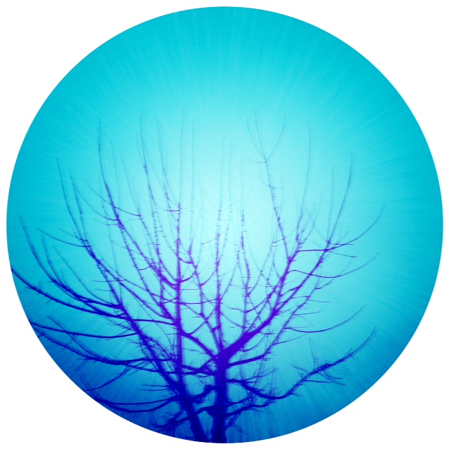 My HipstaPrint 1011967941 (5)