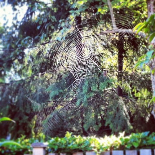 tumblr_mu9q77YVmc1qicjr7o1_500