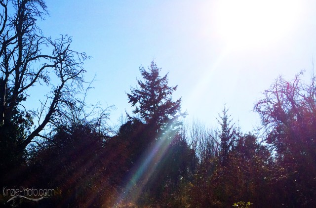 Photo 1-25-2014, 12 38 06 PM