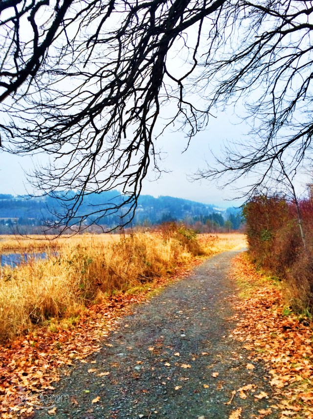 Photo 1-28-2014, 4 28 38 PM