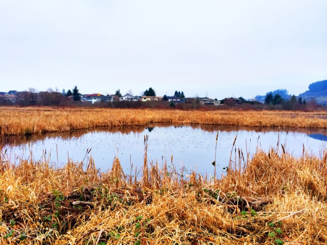 Photo 1-28-2014, 4 30 17 PM