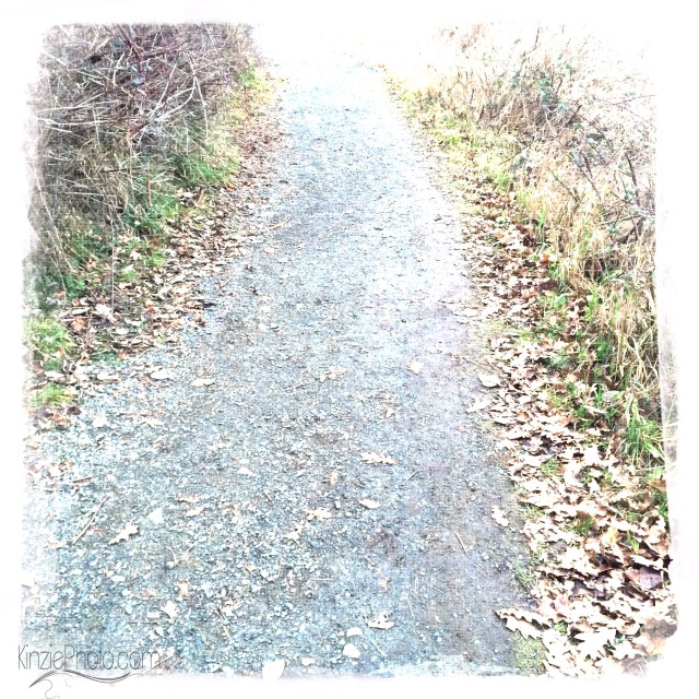 Photo 1-28-2014, 4 35 36 PM