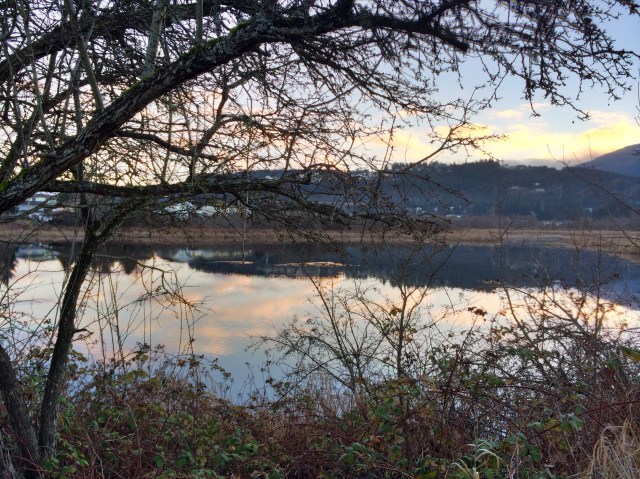 Photo 1-31-2014, 4 48 26 PM