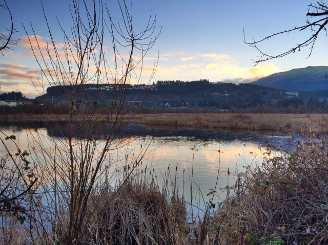 Photo 1-31-2014, 4 51 28 PM