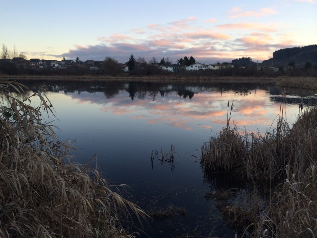 Photo 1-31-2014, 4 54 50 PM