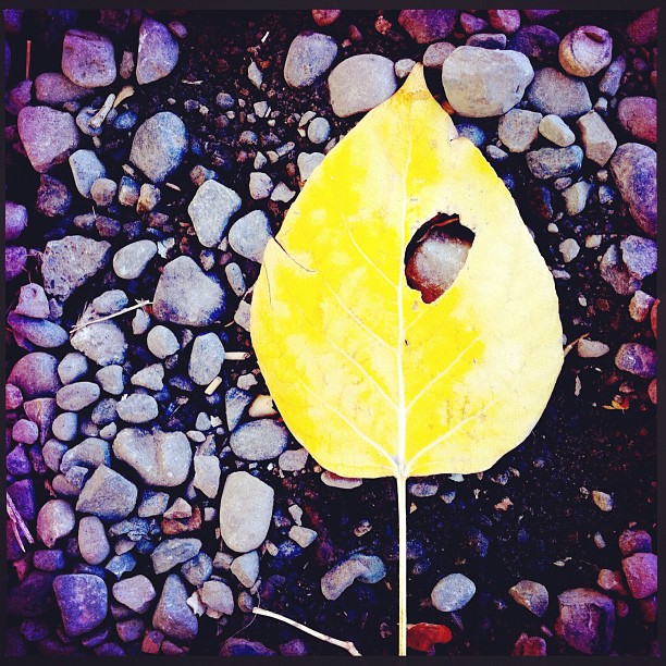 2012-10-16_1350408538