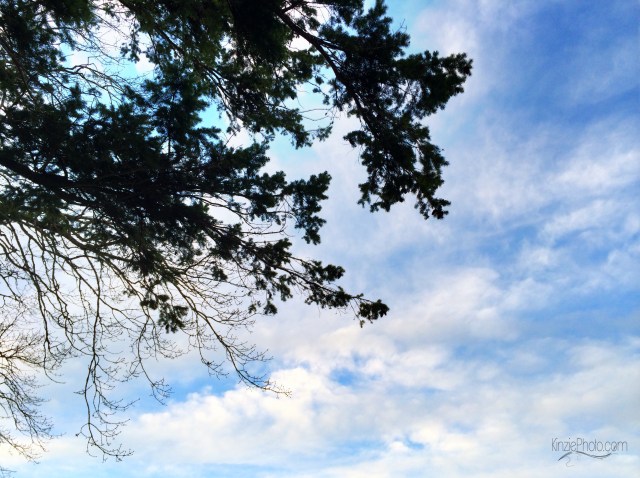 Photo 2-14-2014, 5 07 13 PM