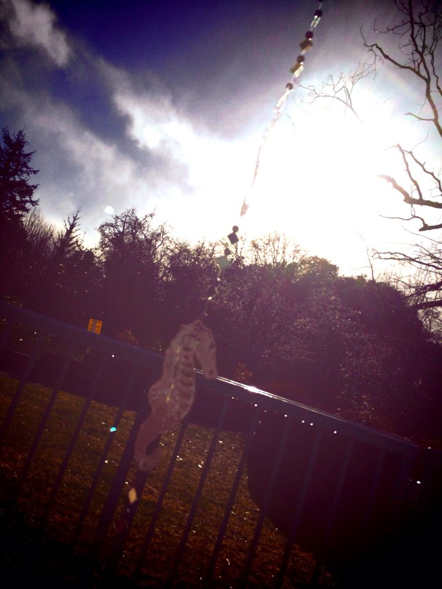 Processed with Rookie