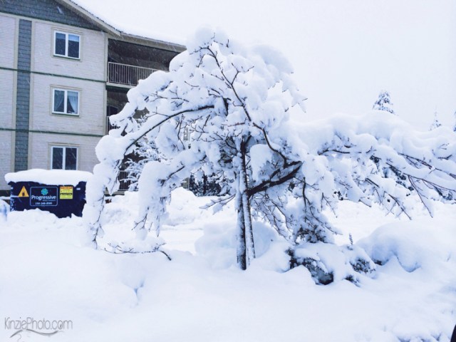 Photo 2-24-2014, 7 59 53 AM