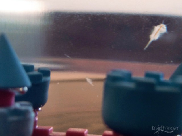 Photo 2-26-2014, 1 14 40 PM