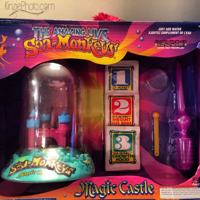 Photo 2-4-2014, 5 18 16 PM